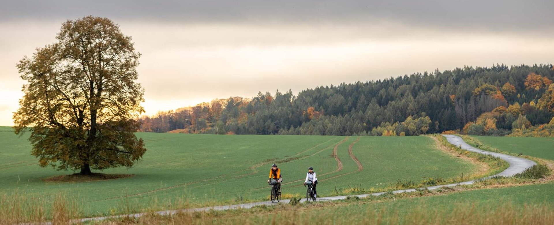 Zwei Gravelbiker fahren über einen Weg zwischen zwei Feldern im Mittelgebirge.